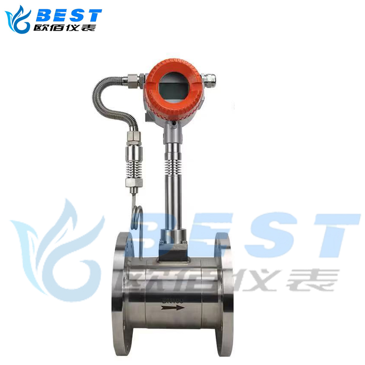 法蘭式渦街流量計(jì) 